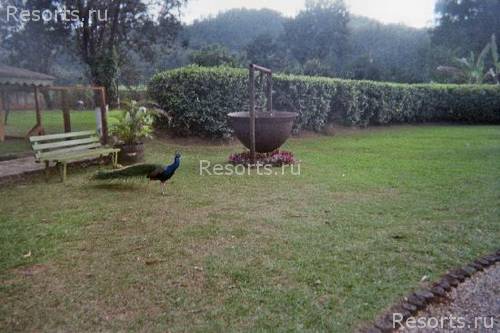 Royal Decameron Montego Beach 147